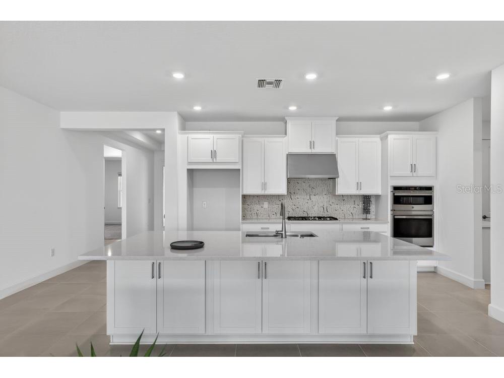 35090 Emberview Drive Zephyrhills FL 33541 TB8499038 image3