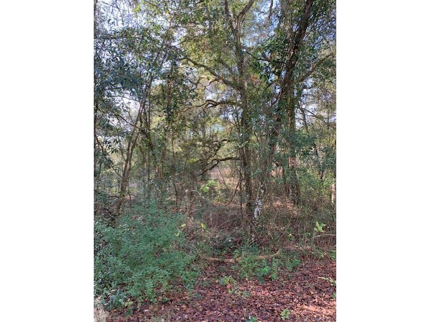 35094 Citrus Street Webster FL 33597 T3347762 image1