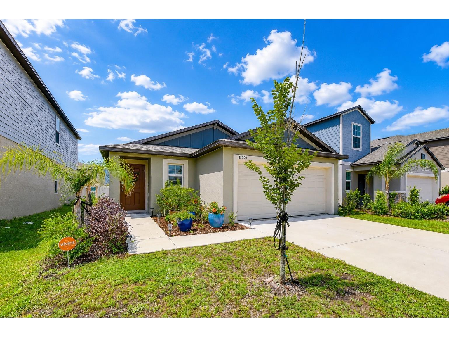 35099 Ackley Trace Zephyrhills FL 33541 TB8513020 image1
