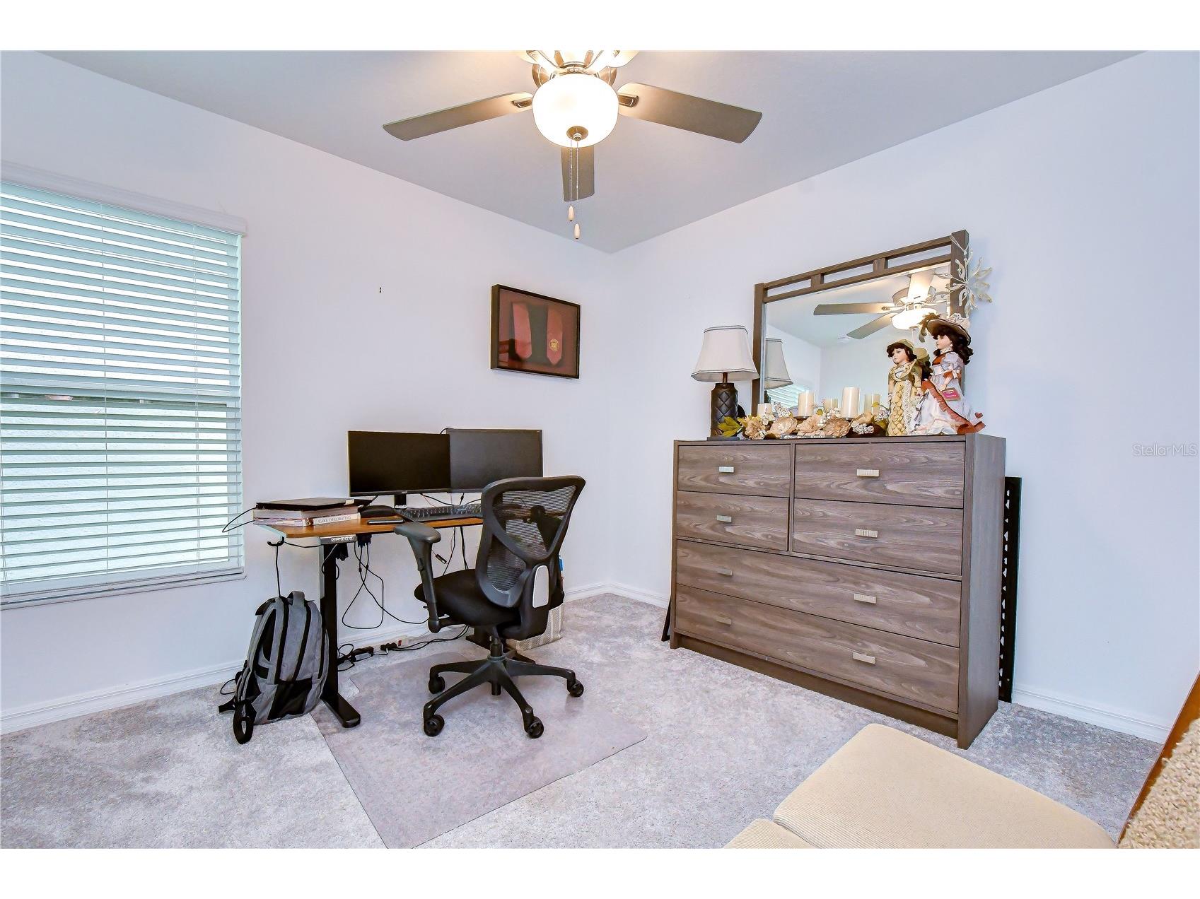 35099 Ackley Trace Zephyrhills FL 33541 TB8513020 image15