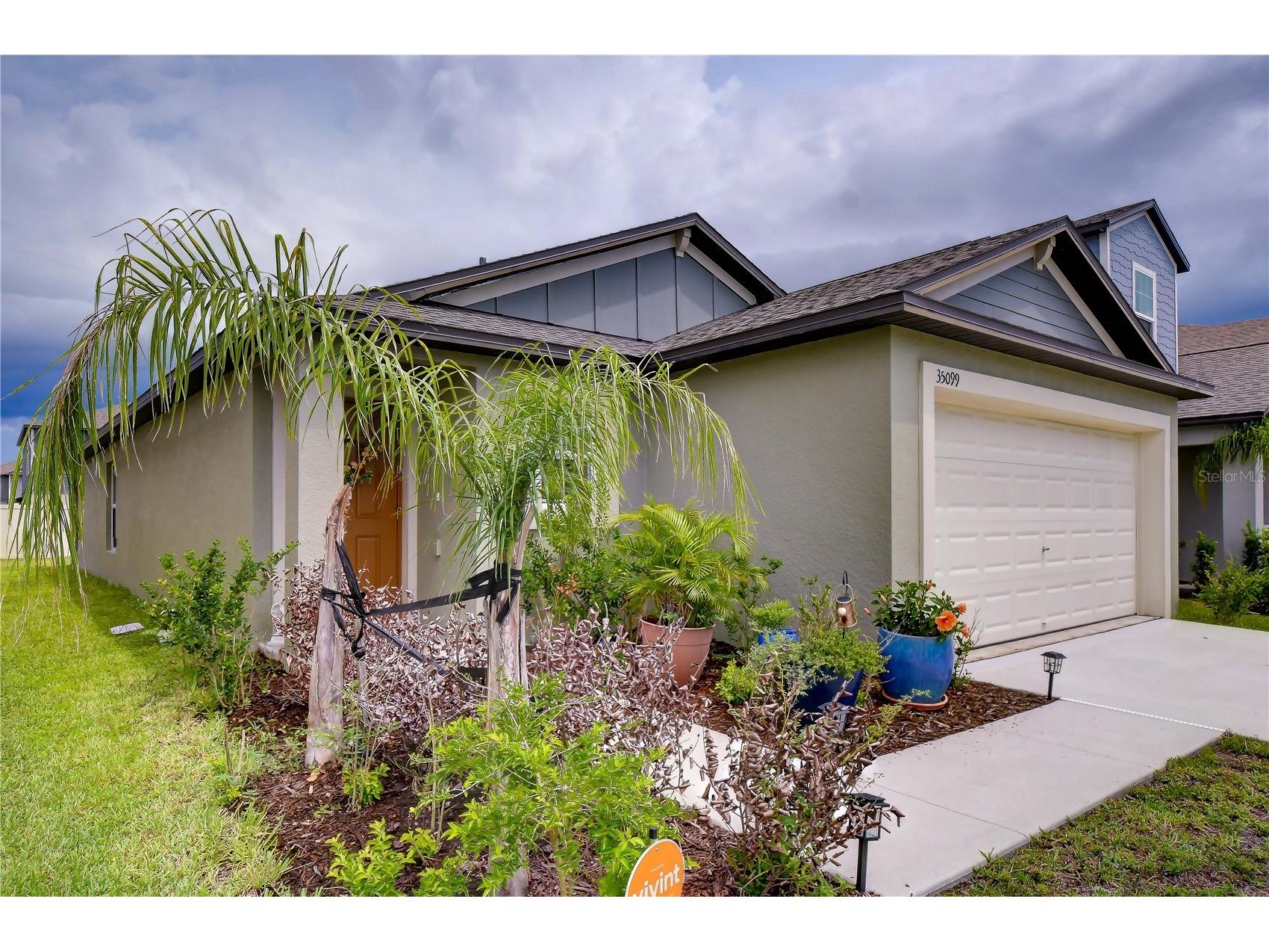 35099 Ackley Trace Zephyrhills FL 33541 TB8513020 image2