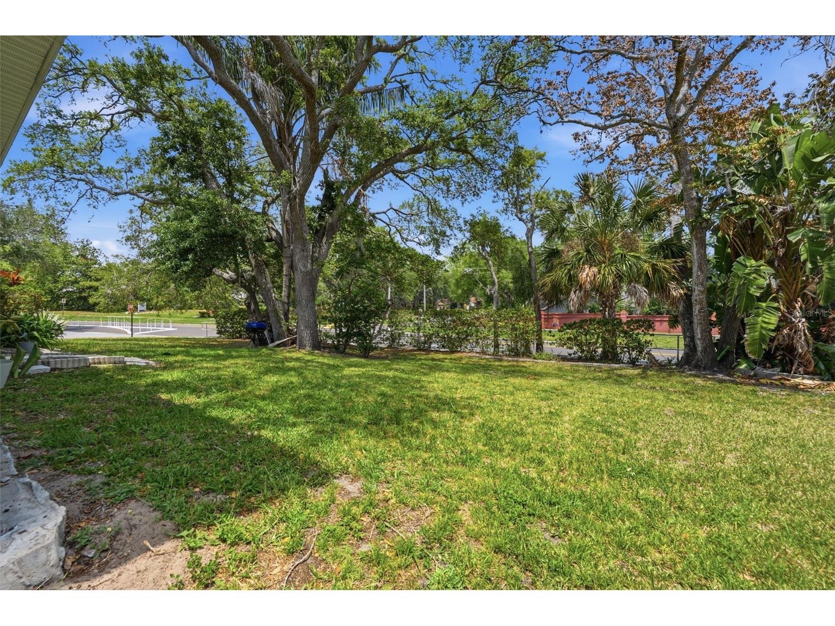 351 Ixora Drive #61 Palm Harbor FL 34684 TB8506027 image13