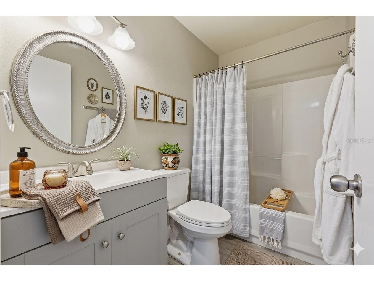 351 Ixora Drive #61 Palm Harbor FL 34684 TB8506027 image38