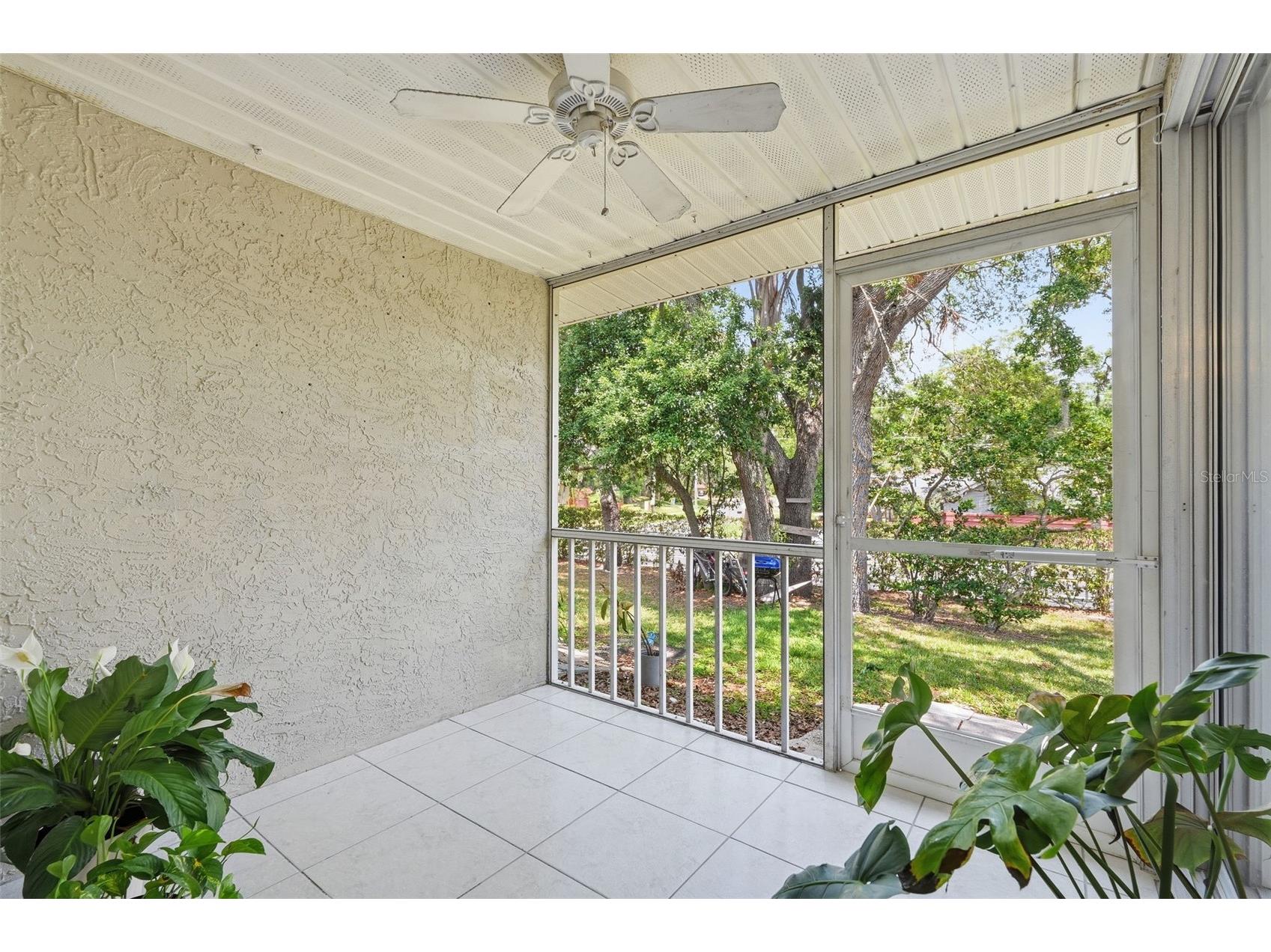 351 Ixora Drive #61 Palm Harbor FL 34684 TB8506027 image44