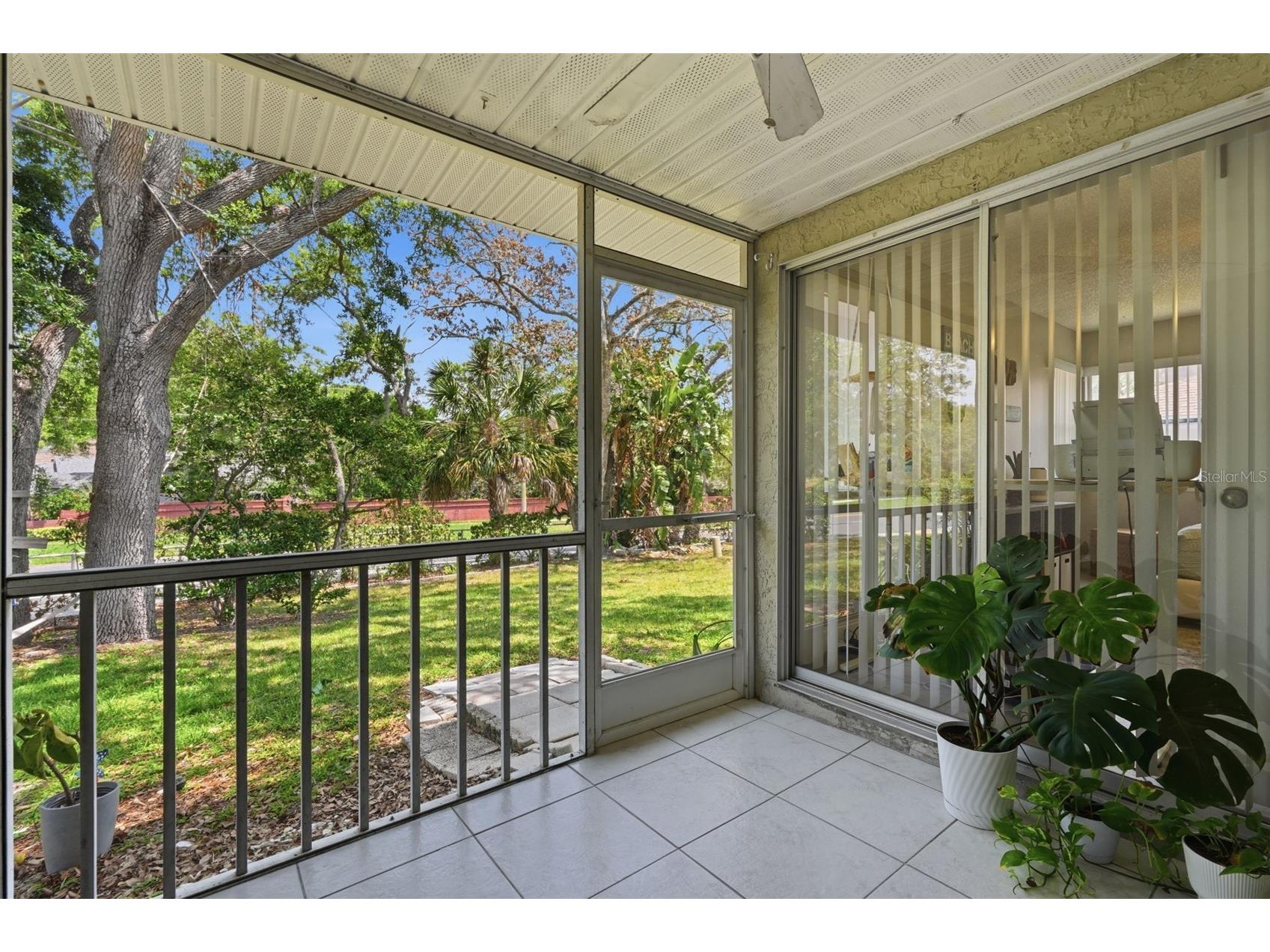 351 Ixora Drive #61 Palm Harbor FL 34684 TB8506027 image45