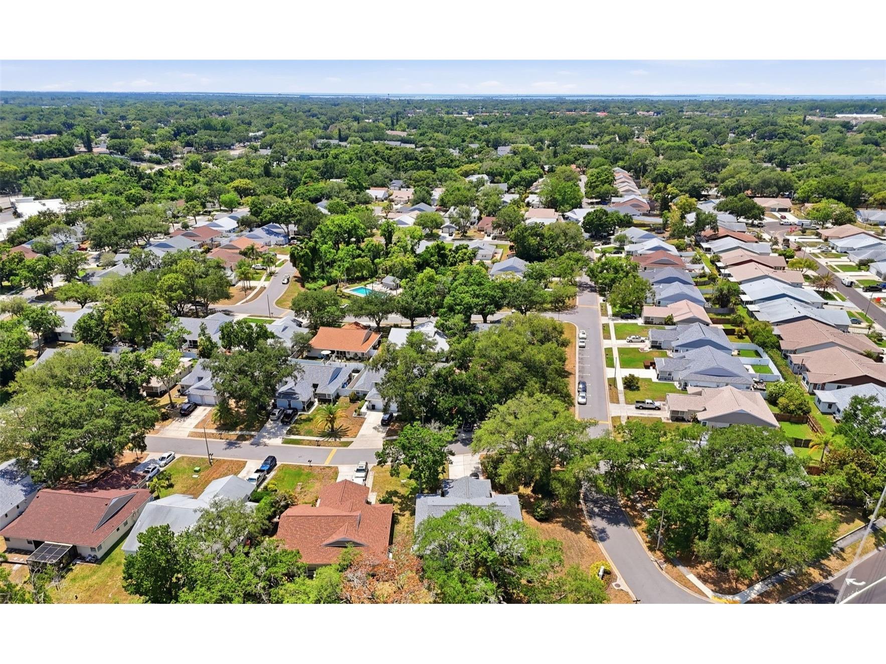 351 Ixora Drive #61 Palm Harbor FL 34684 TB8506027 image46