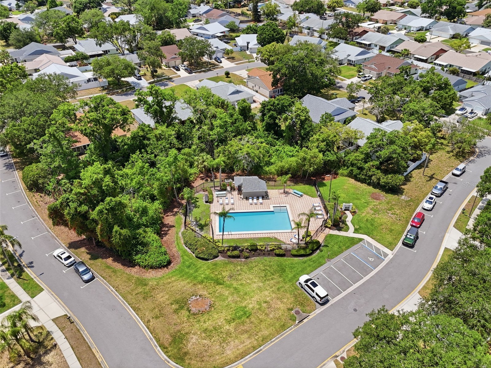 351 Ixora Drive #61 Palm Harbor FL 34684 TB8506027 image47