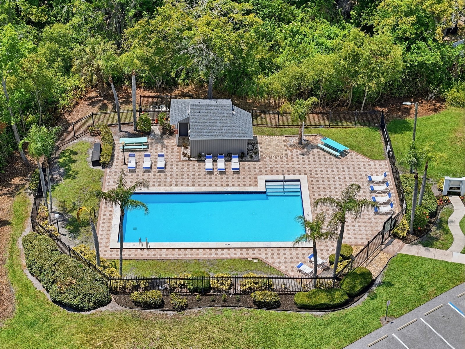351 Ixora Drive #61 Palm Harbor FL 34684 TB8506027 image48