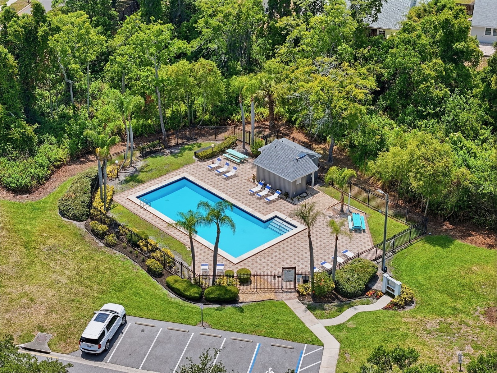 351 Ixora Drive #61 Palm Harbor FL 34684 TB8506027 image49