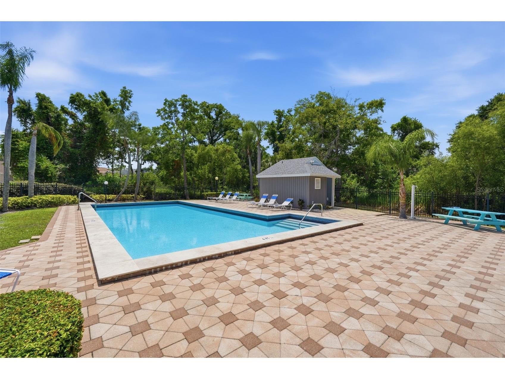 351 Ixora Drive #61 Palm Harbor FL 34684 TB8506027 image50