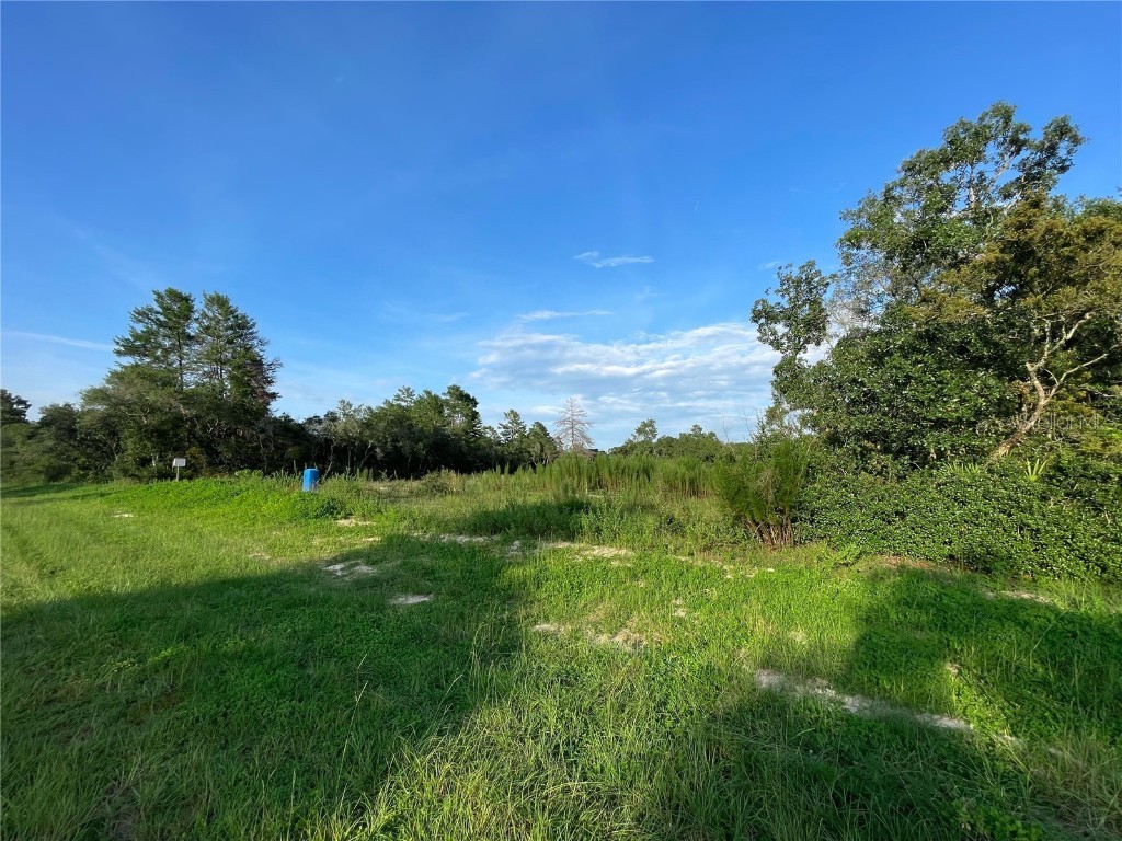 351 Marion Oaks Boulevard Ocala FL 34473 OM662065 image1