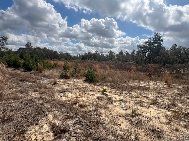 351 Marion Oaks Boulevard Ocala FL 34473 OM718997 image4