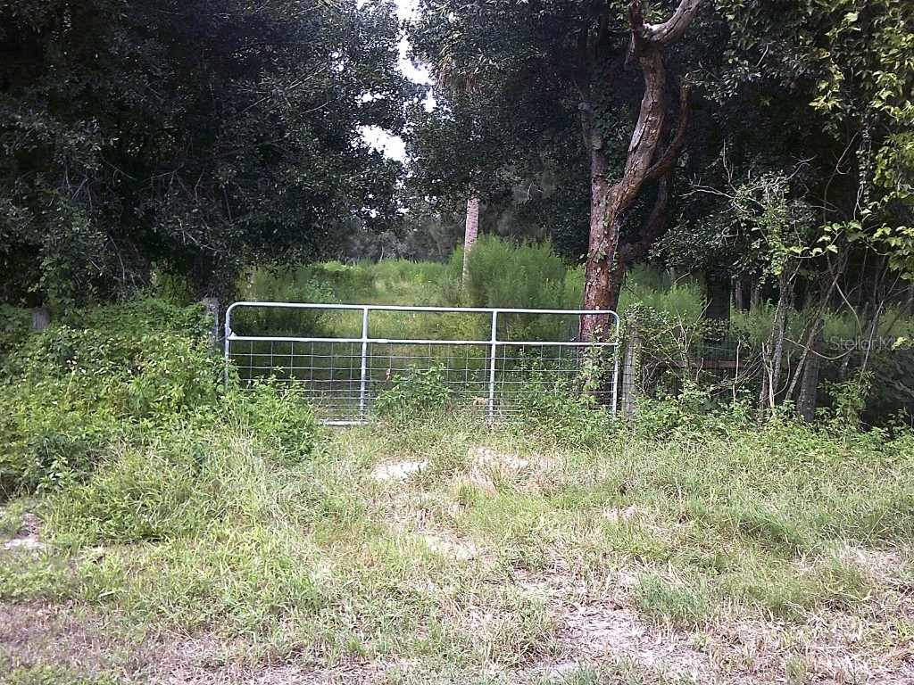 351 NW 98th Street Okeechobee FL 34972 OK223189 image1