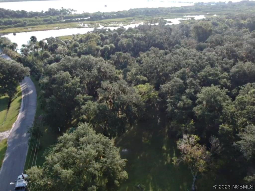 351 Palm Avenue Oak Hill FL 32759 NS1077467 image10