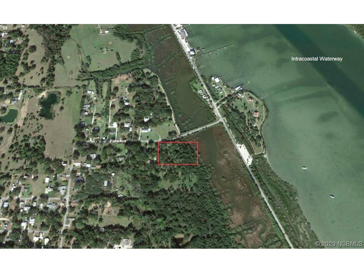 351 Palm Avenue Oak Hill FL 32759 NS1077467 image2