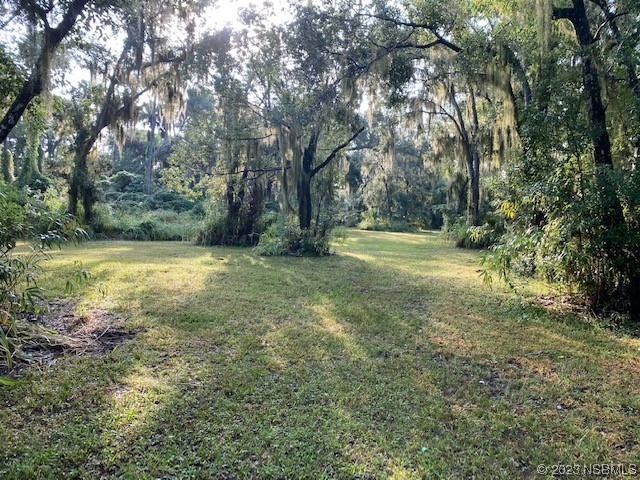 351 Palm Avenue Oak Hill FL 32759 NS1077467 image4