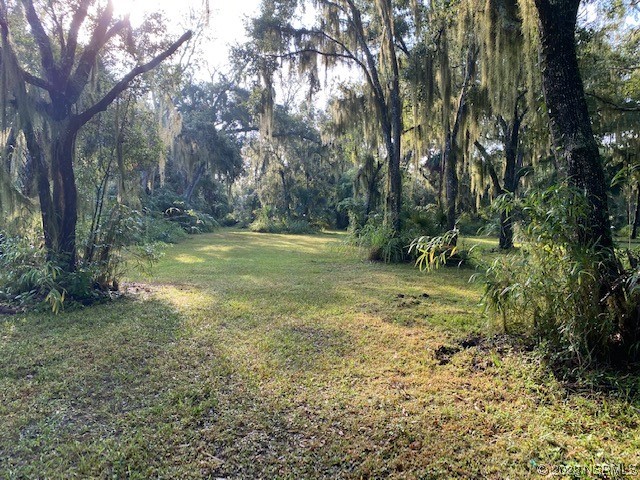 351 Palm Avenue Oak Hill FL 32759 NS1077467 image5