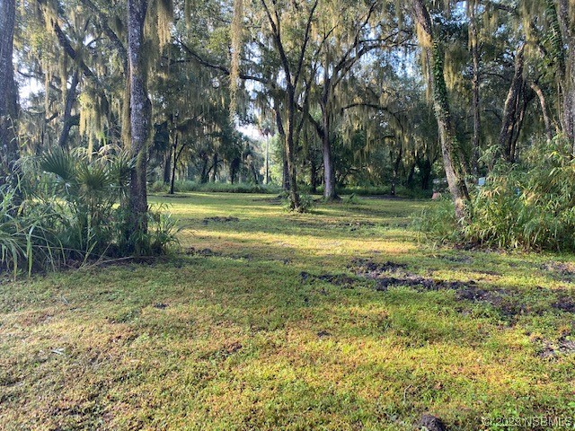 351 Palm Avenue Oak Hill FL 32759 NS1077467 image6