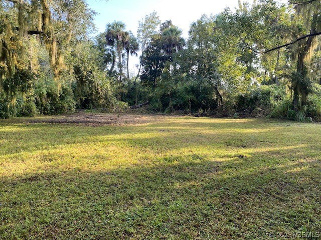 351 Palm Avenue Oak Hill FL 32759 NS1077467 image8