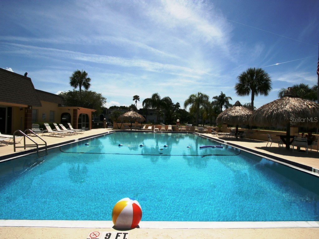 351 S Mcmullen Booth Road #129 Clearwater FL 33759 TB8515112 image2