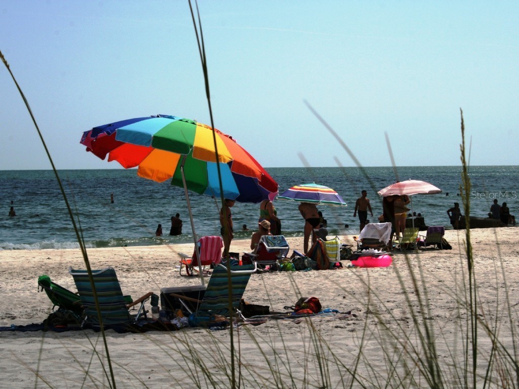 351 S Mcmullen Booth Road #129 Clearwater FL 33759 TB8515112 image3