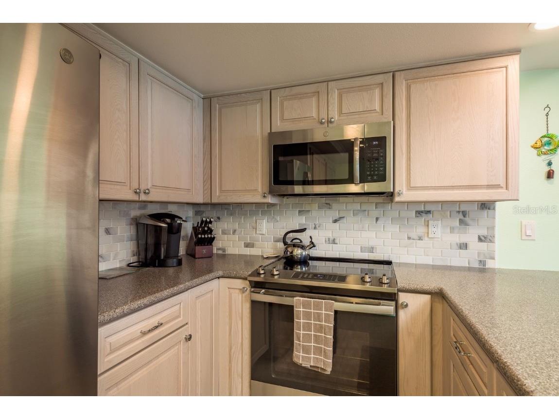 351 Windrush Loop Tarpon Springs FL 34689 - GULF OF AMERICA TB8355233 image15