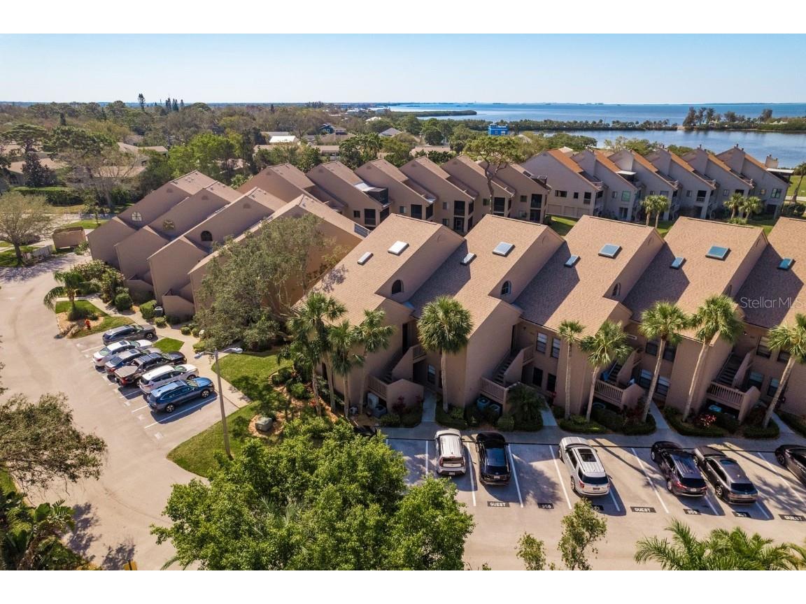 351 Windrush Loop Tarpon Springs FL 34689 - GULF OF AMERICA TB8355233 image32