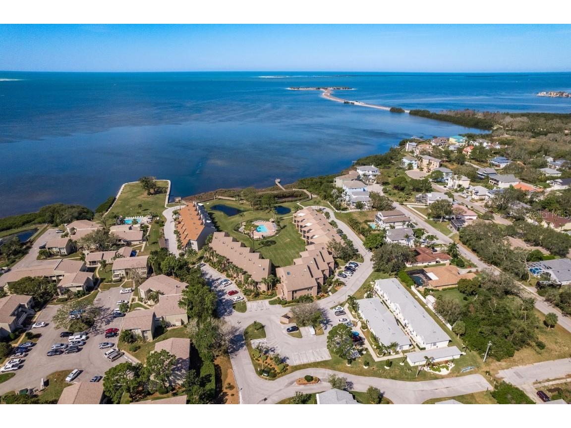 351 Windrush Loop Tarpon Springs FL 34689 - GULF OF AMERICA TB8355233 image37