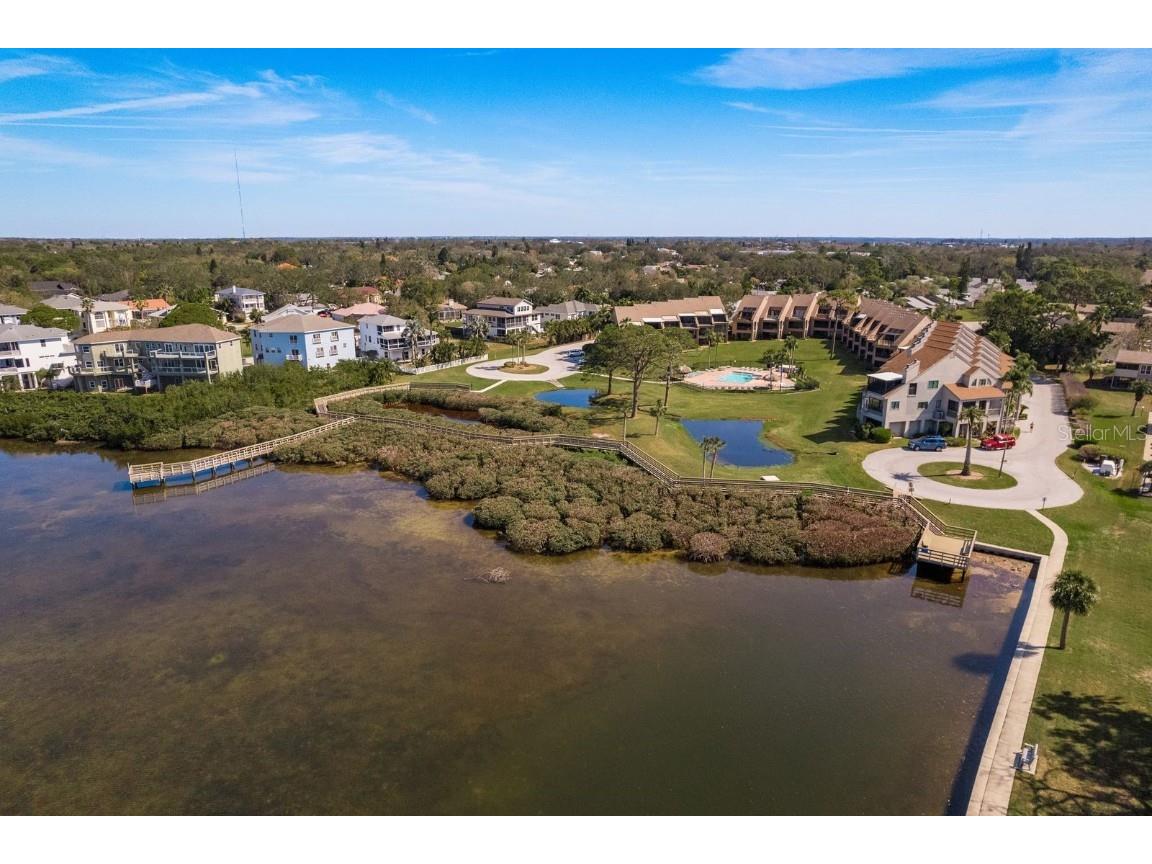 351 Windrush Loop Tarpon Springs FL 34689 - GULF OF AMERICA TB8355233 image44