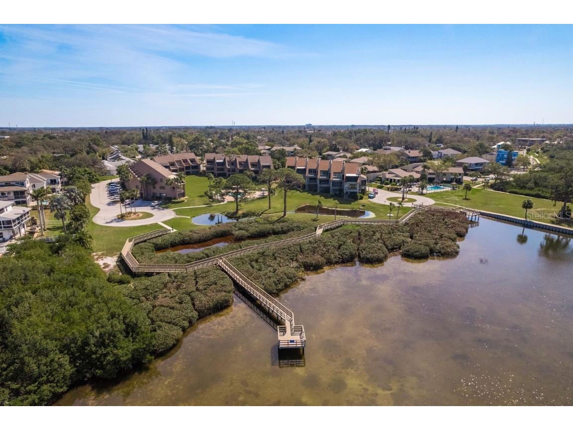 351 Windrush Loop Tarpon Springs FL 34689 - GULF OF AMERICA TB8355233 image46