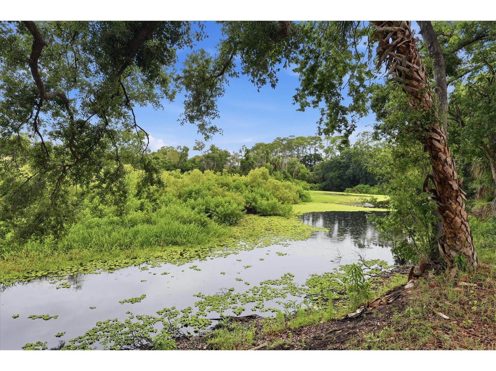 3510 Crystal Lakes Court Sarasota FL 34235 A4693705 image22