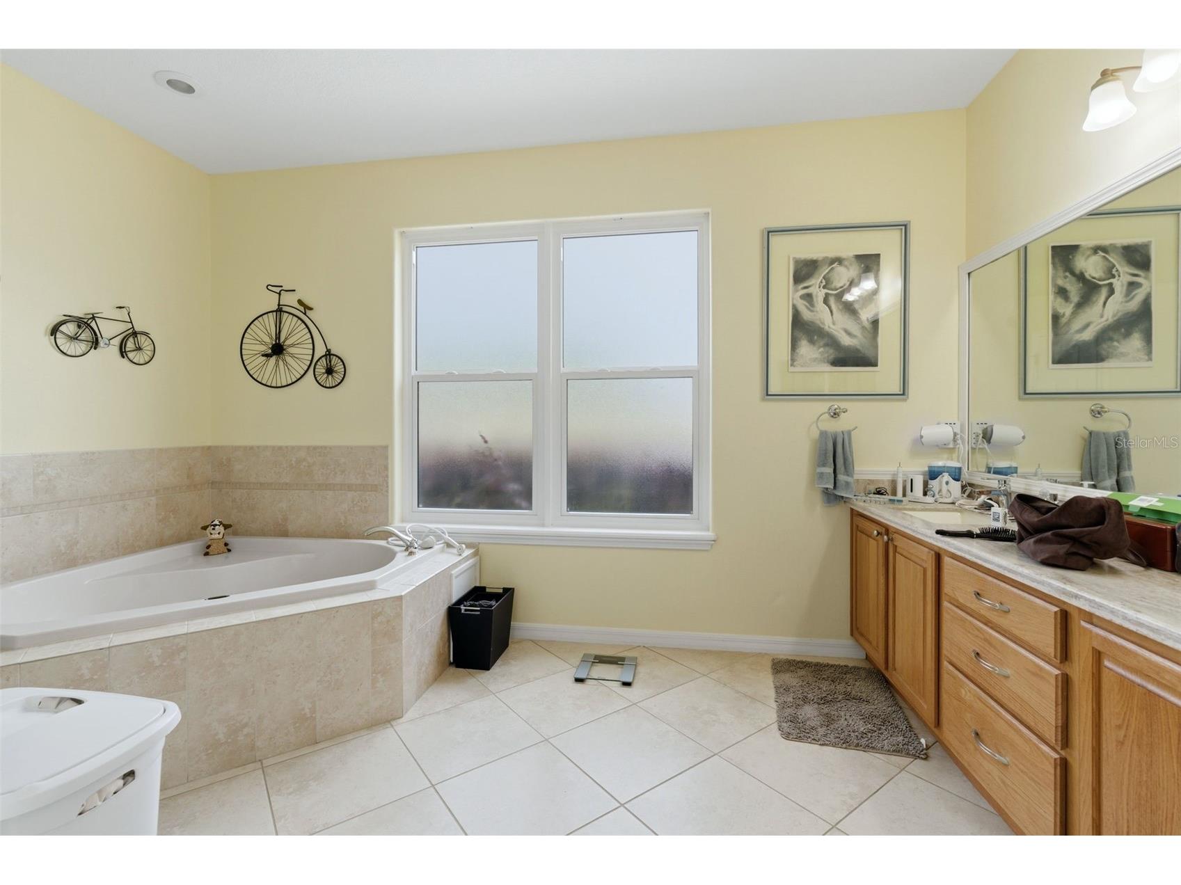 3510 Hunters Trail Circle Eustis FL 32726 O6394926 image17