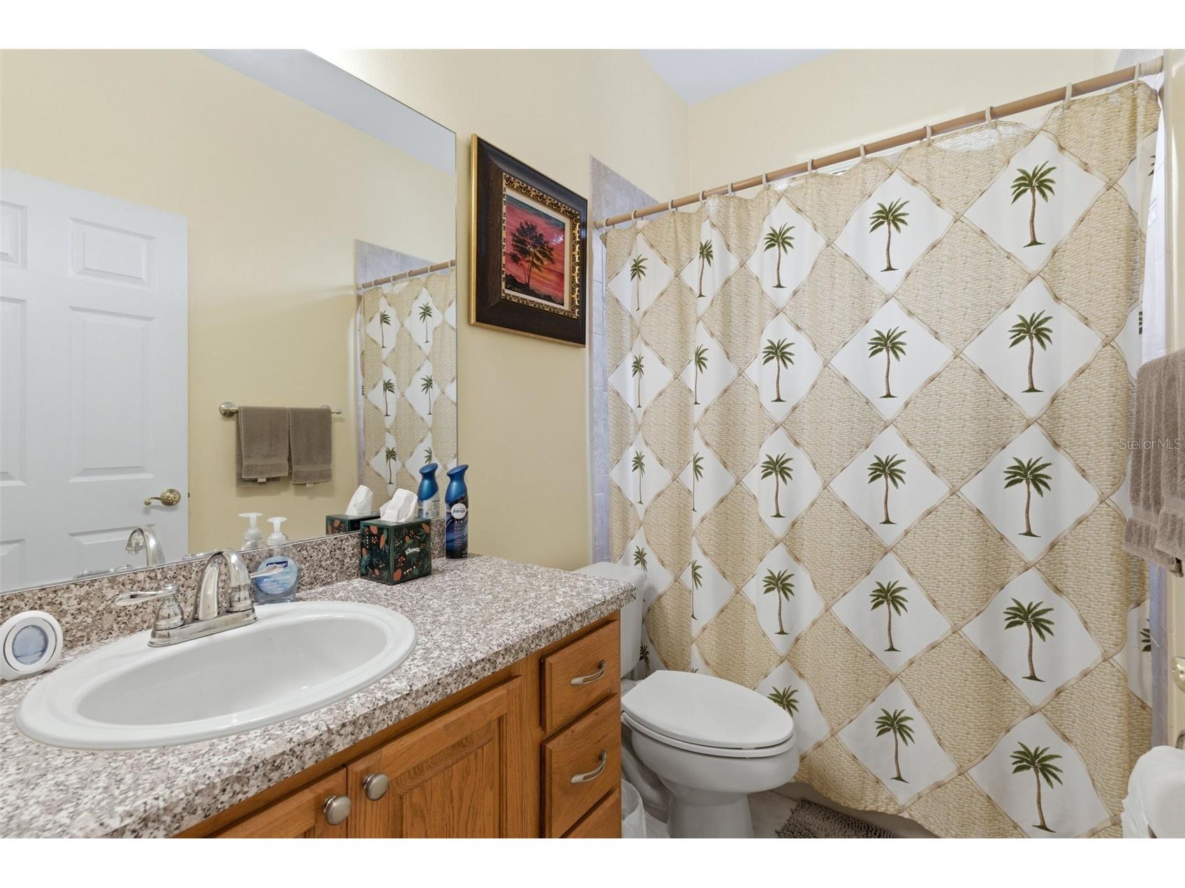 3510 Hunters Trail Circle Eustis FL 32726 O6394926 image19