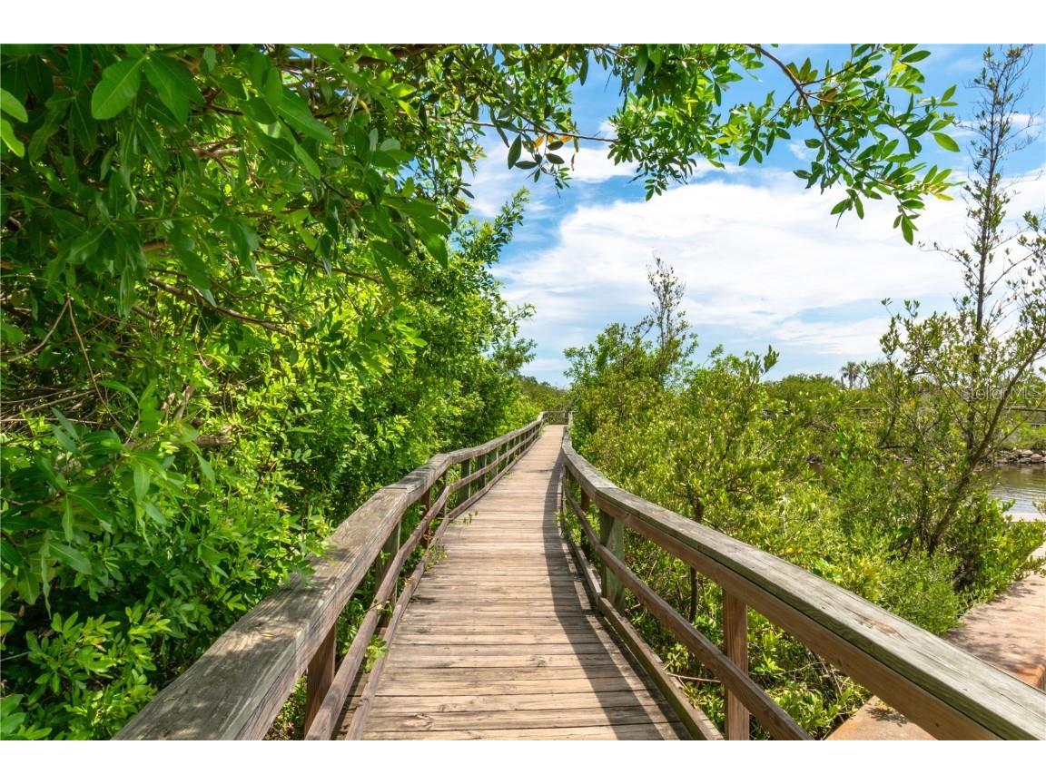 3510 S Ocean Shore Boulevard #109 Flagler Beach FL 32136 - ATLANTIC OCEAN O6359252 image38