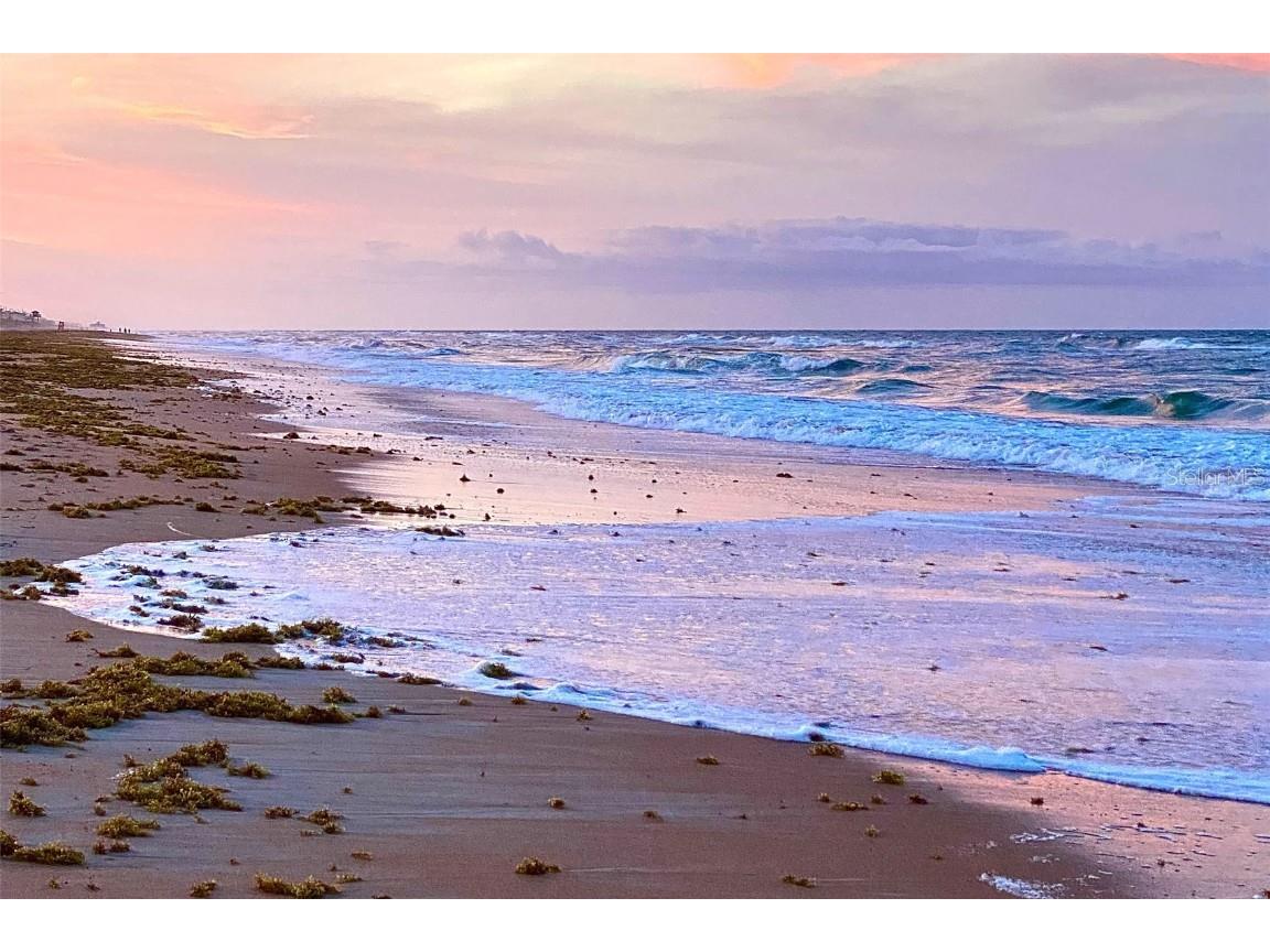 3510 S Ocean Shore Boulevard #109 Flagler Beach FL 32136 - ATLANTIC OCEAN O6359252 image41