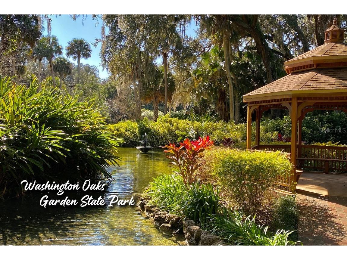 3510 S Ocean Shore Boulevard #109 Flagler Beach FL 32136 - ATLANTIC OCEAN O6359252 image51