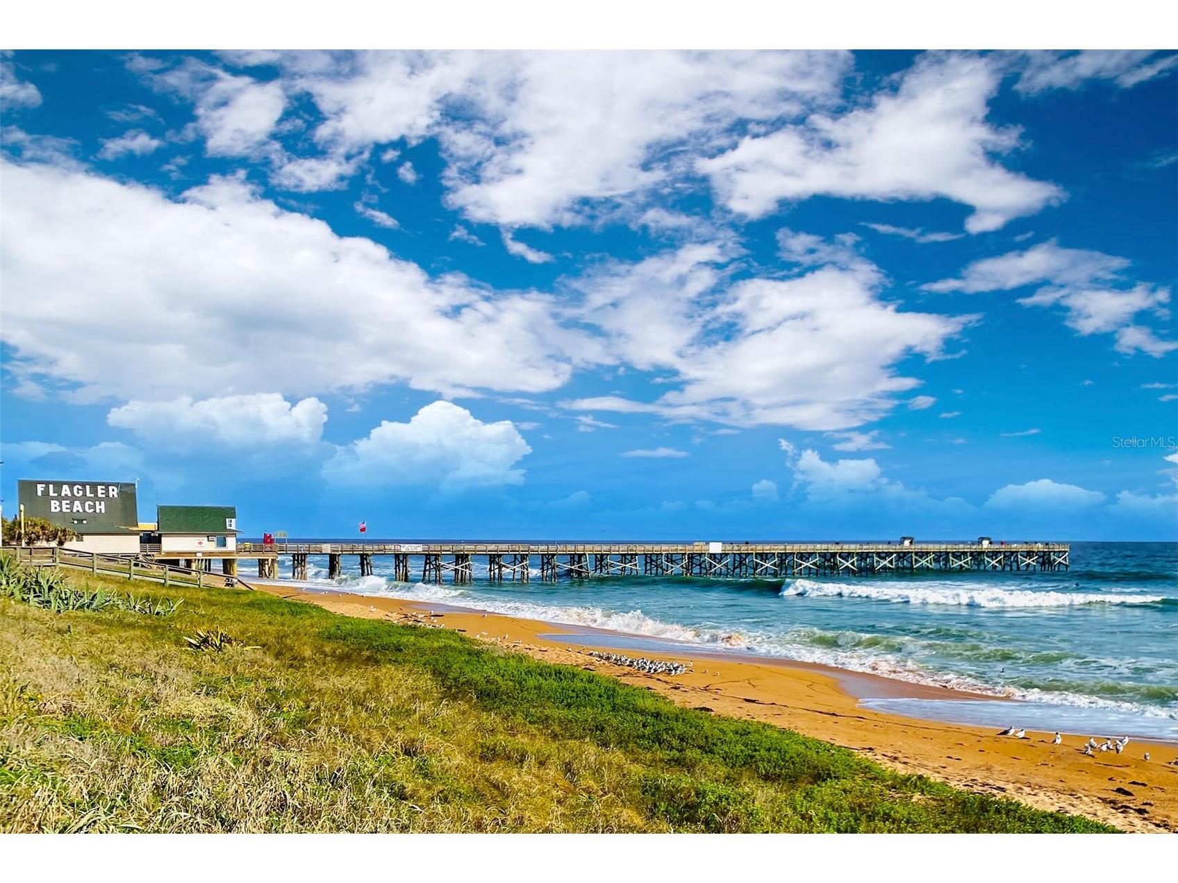 3510 S Ocean Shore Boulevard #112 Flagler Beach FL 32136 - ATLANTIC OCEAN O6415142 image49