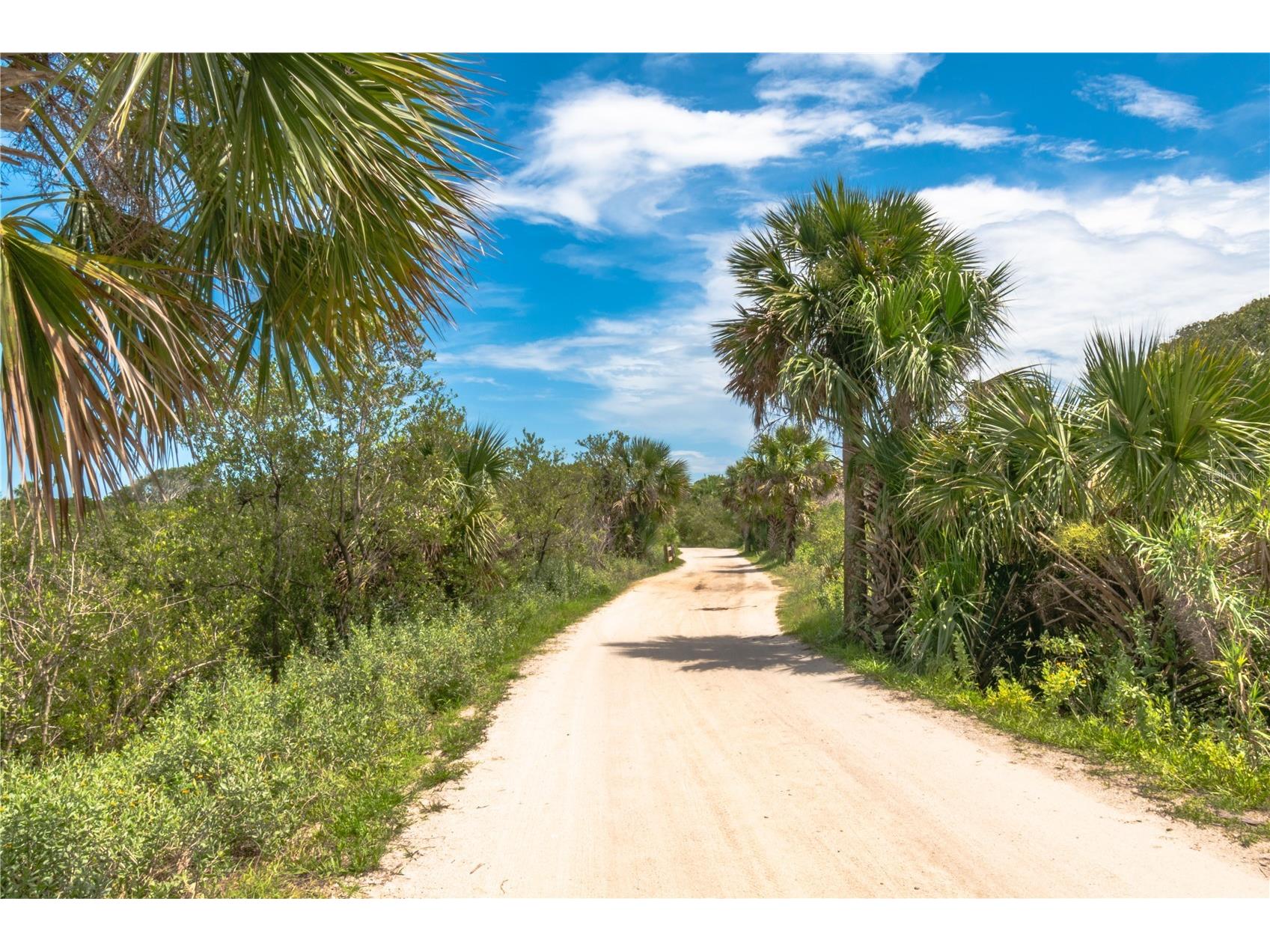 3510 S Ocean Shore Boulevard #112 Flagler Beach FL 32136 - ATLANTIC OCEAN O6415142 image56