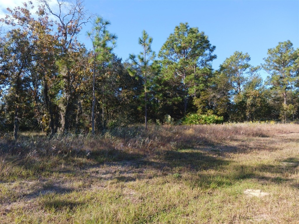 3510 W Hampshire Boulevard Citrus Springs FL 34433 OM666922 image1