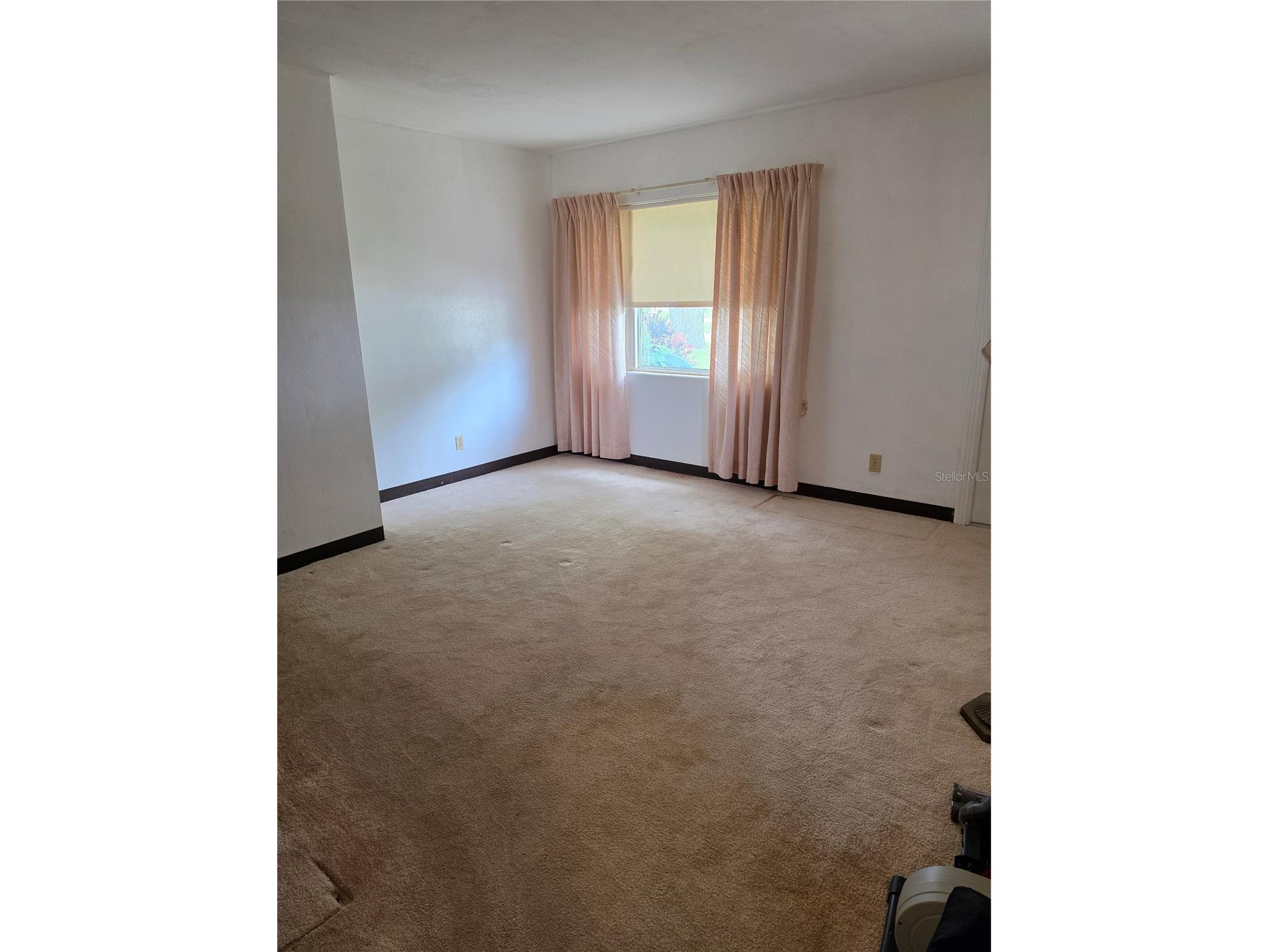 3510 W Paul Avenue Tampa FL 33611 TB8529303 image15