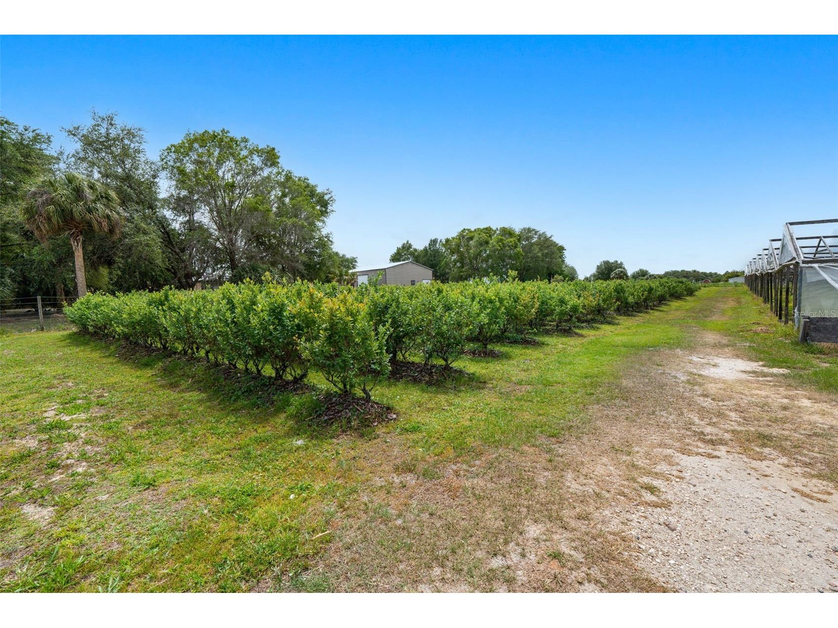 3510 Walk In Water Road Lake Wales FL 33898 O6403007 image15