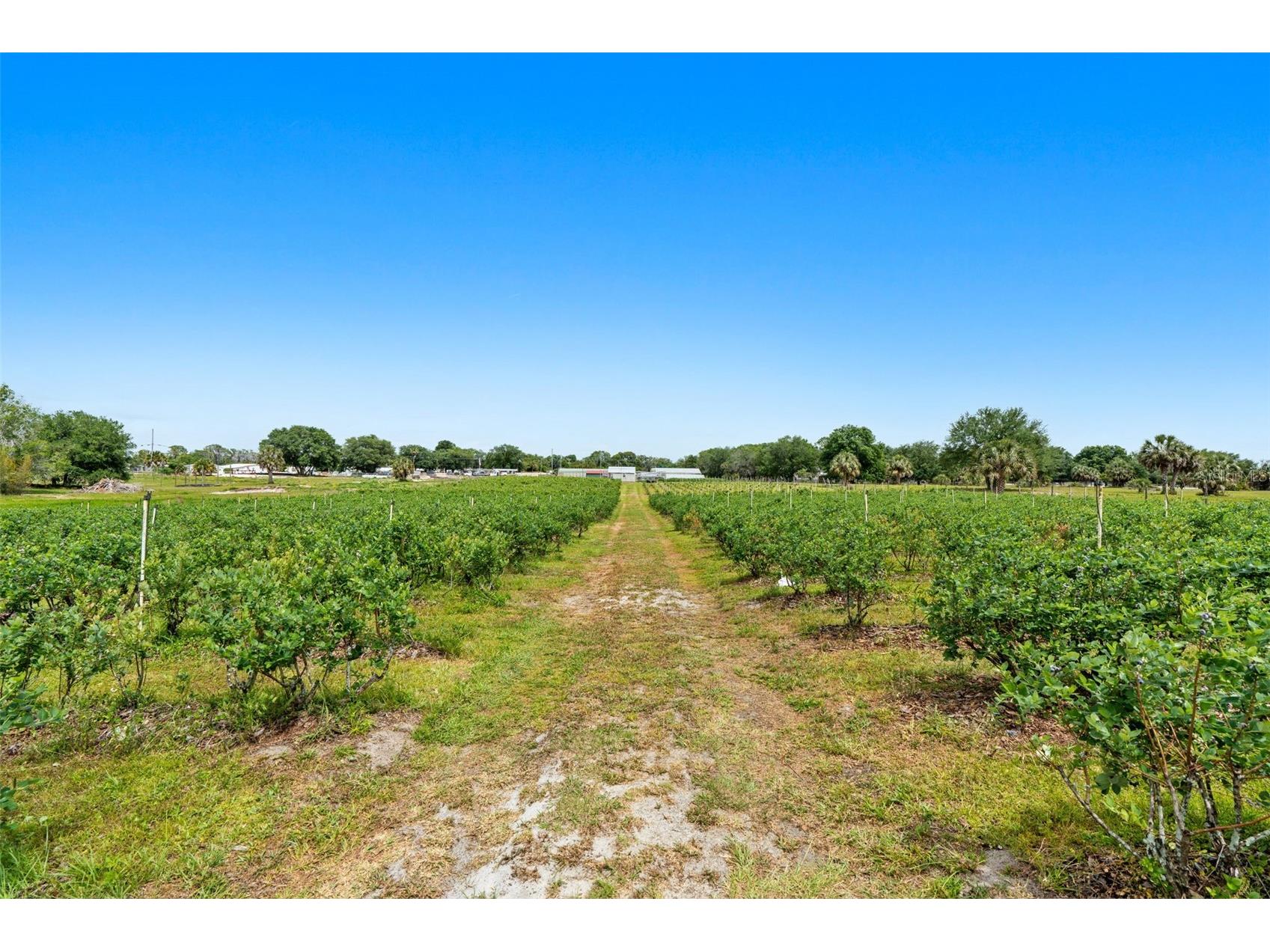 3510 Walk In Water Road Lake Wales FL 33898 O6403007 image18