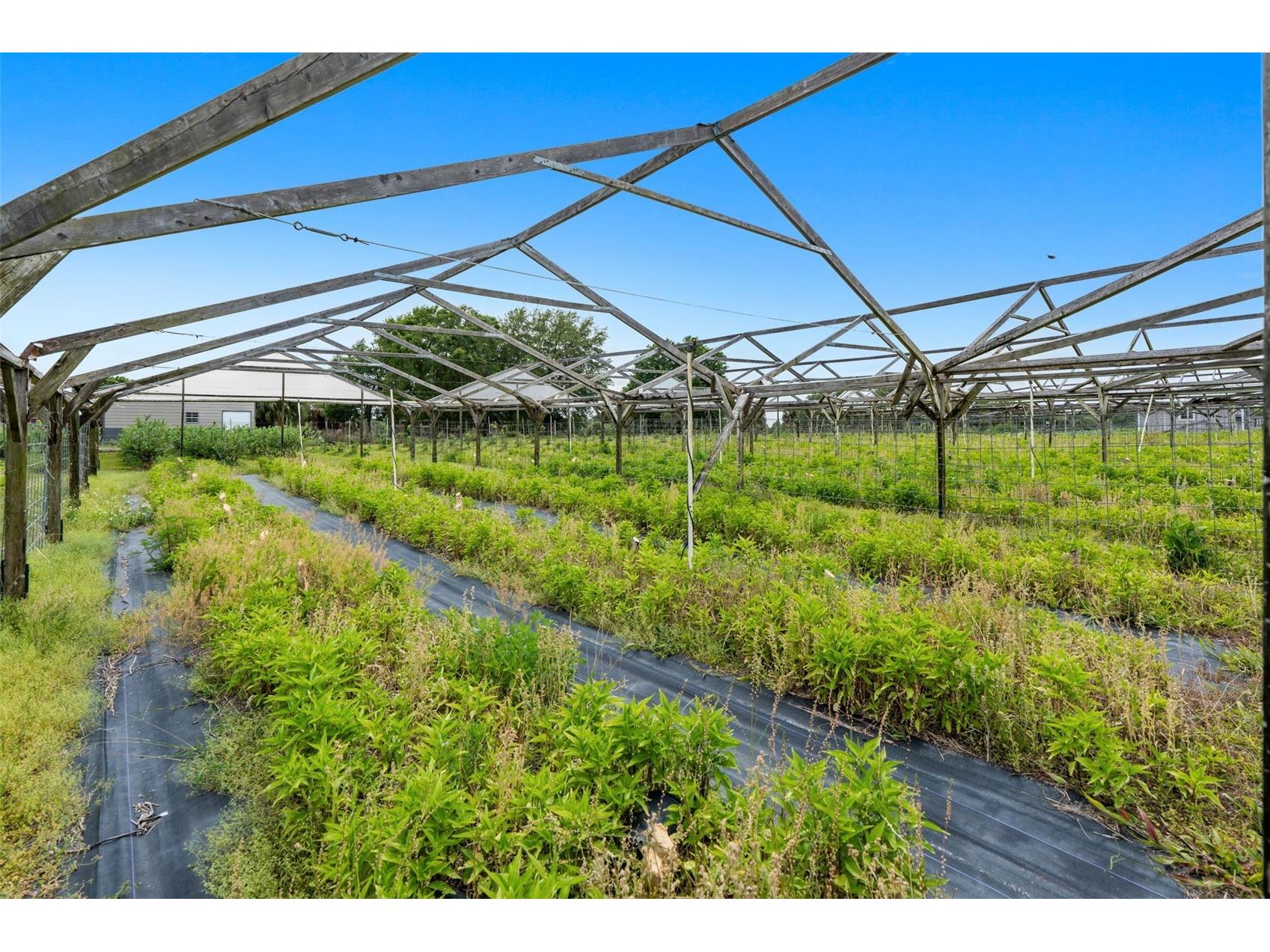 3510 Walk In Water Road Lake Wales FL 33898 O6403007 image22