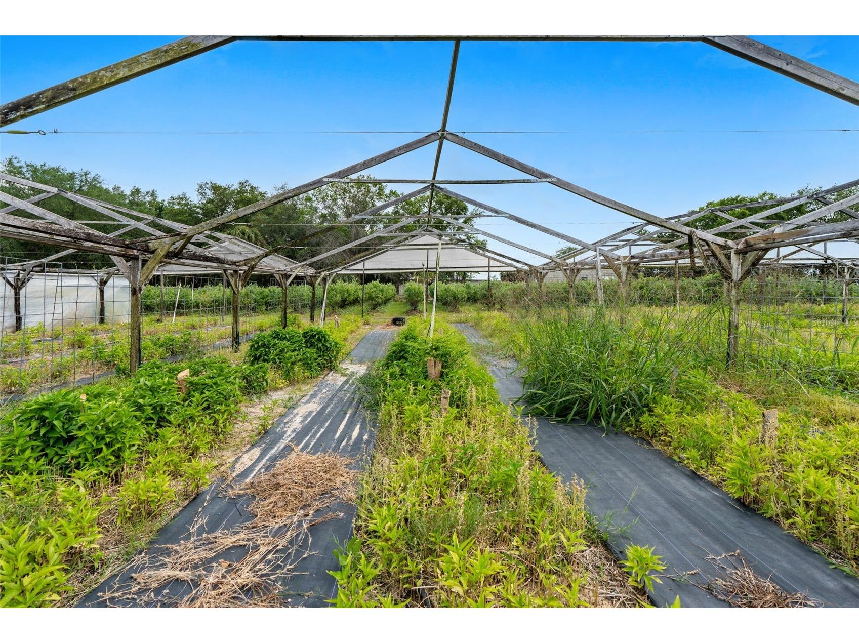 3510 Walk In Water Road Lake Wales FL 33898 O6403600 image21