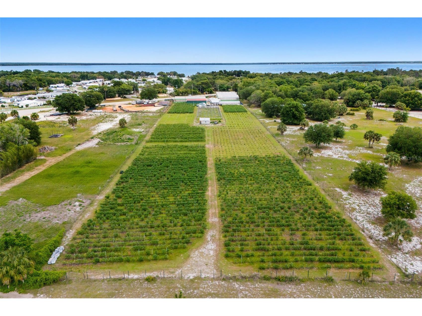 3510 Walk In Water Road Lake Wales FL 33898 O6403600 image8