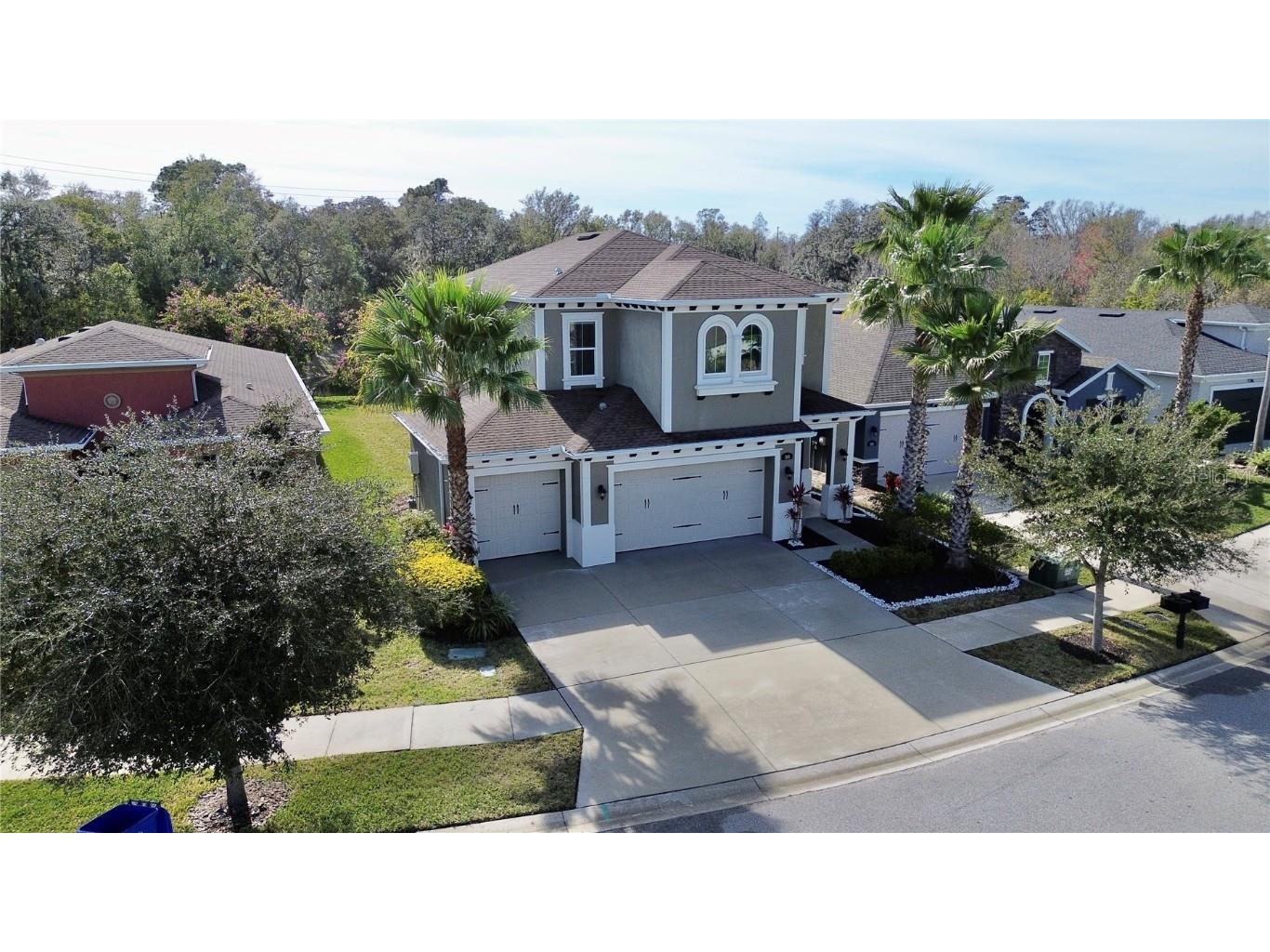 3510 Wicket Field Road Lutz FL 33548 T3502509 image1