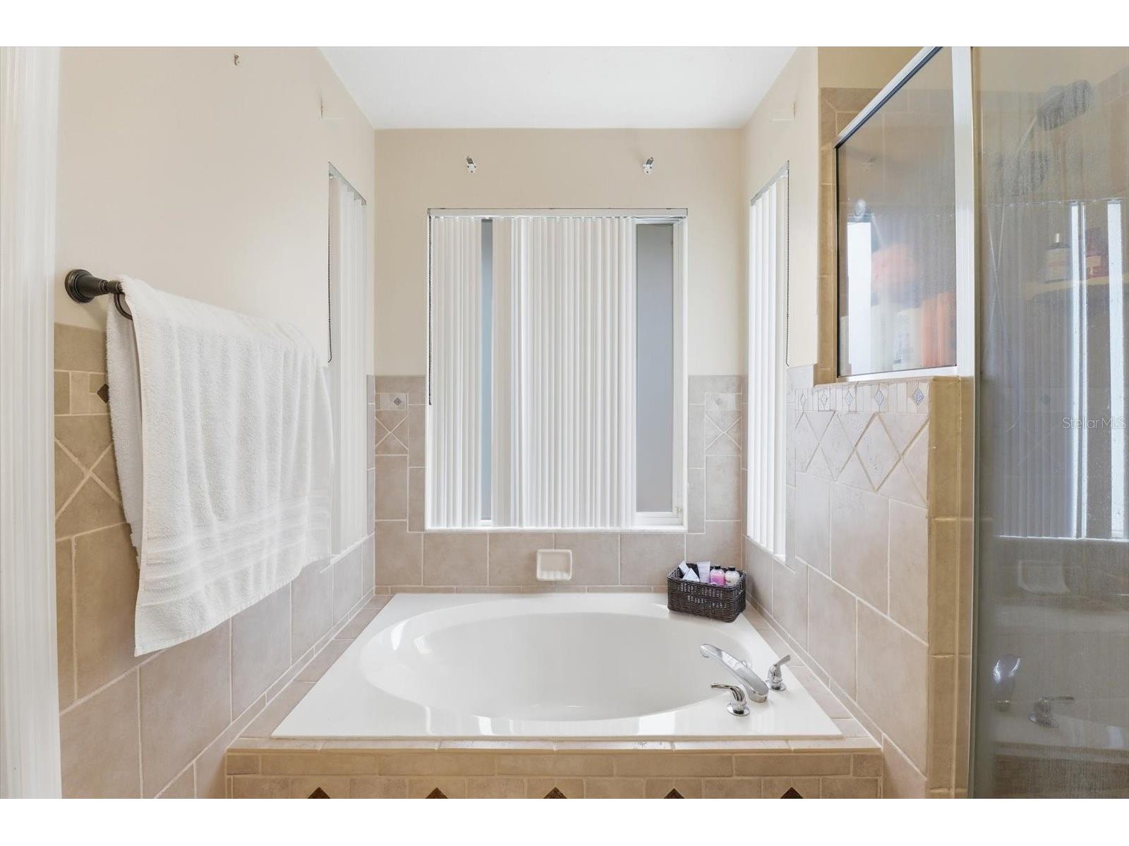 35103 Riverside Court Leesburg FL 34788 TB8496147 image20