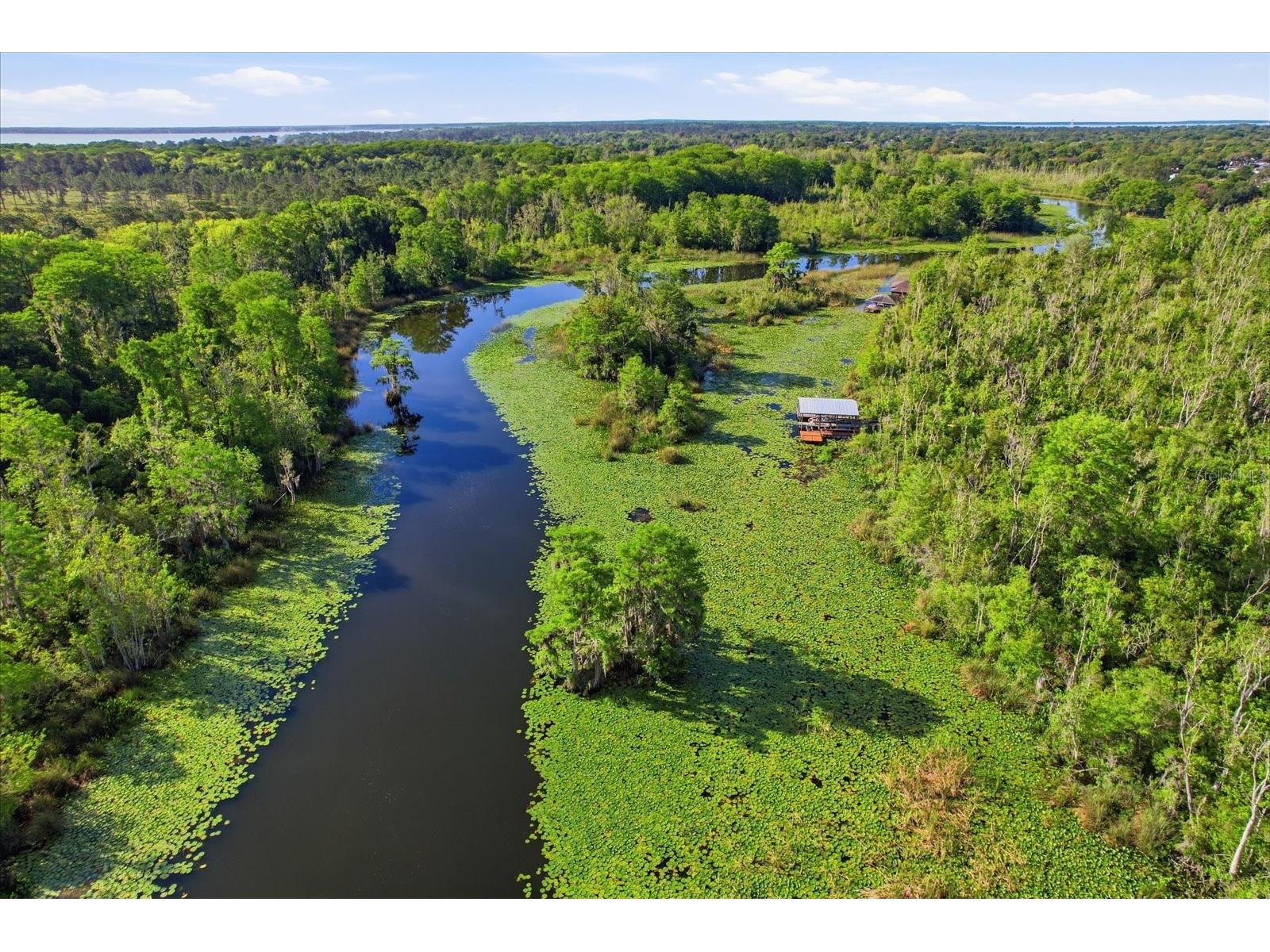 35103 Riverside Court Leesburg FL 34788 TB8496147 image48