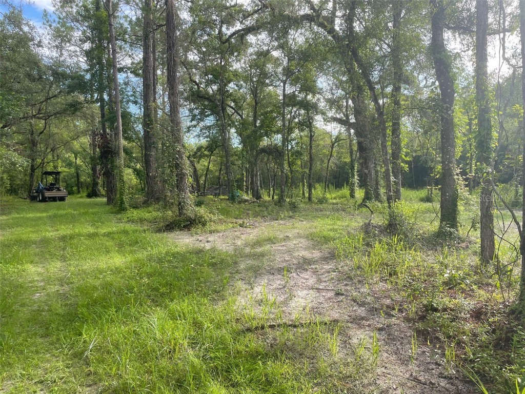 35103 Soap Stone Street Webster FL 33597 T3442659 image1