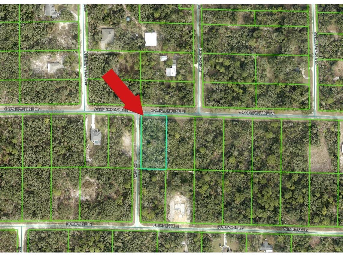 35106 Cornerstone Drive Webster FL 33597 A4678781 image2